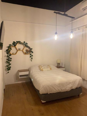 Acogedor Monoambiente Ideal Estudiantes
